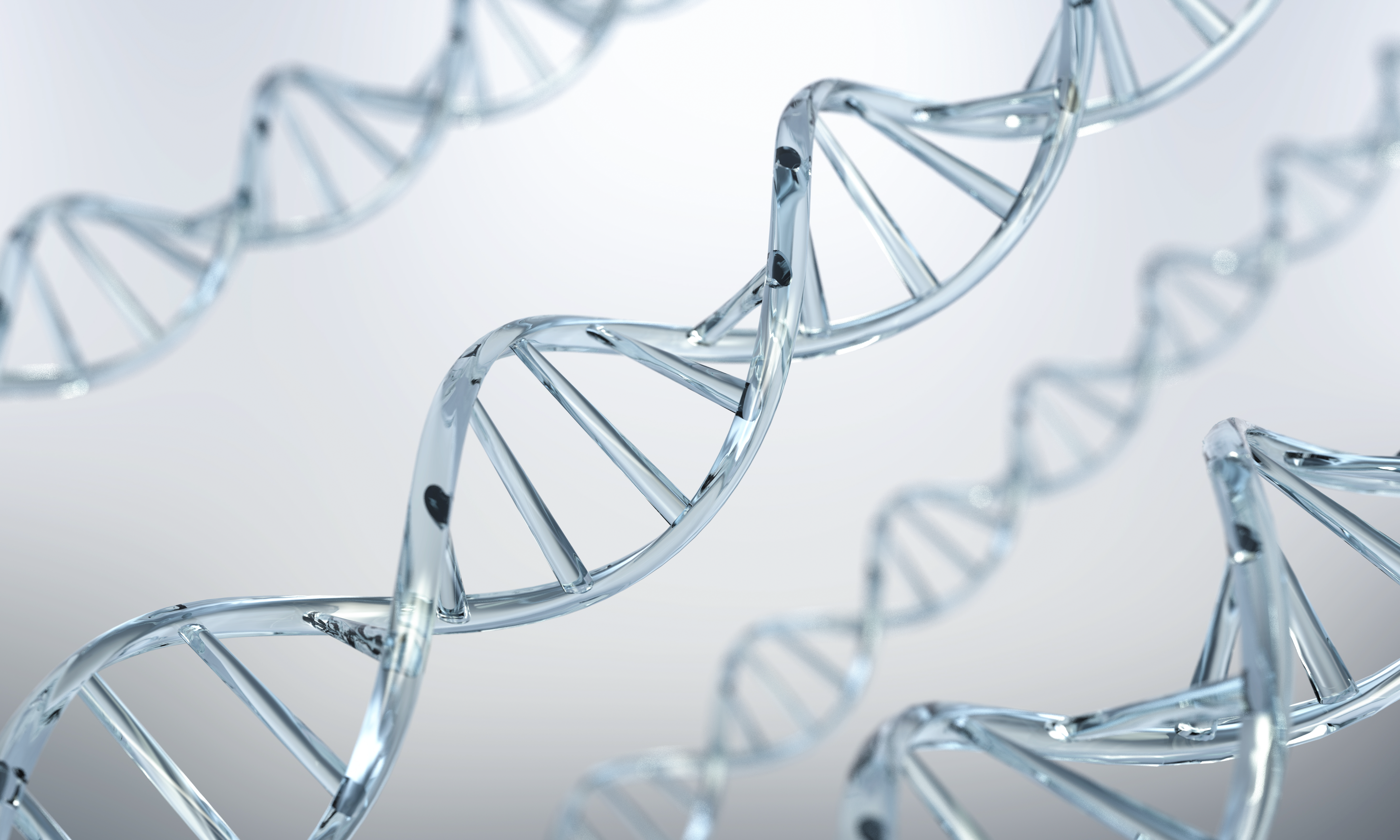 세포 재생 활성화 (1~3개월)