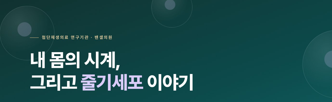 배너 타이틀 이미지